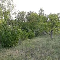 باغ ویلا فول امکانات موقعیت تجاری