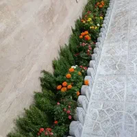 خدمات‌باغبانی‌درسراسر‌تهران