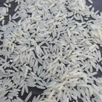 طارم عسگری پخت مجلسی