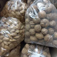 بادام و گردو،الوبخارا،سیر|خوردنی و آشامیدنی|شیراز, شهرک پردیس|دیوار