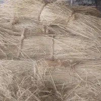 کاکولوش|حیوانات مزرعه|رشت, شکار اسطلخ|دیوار