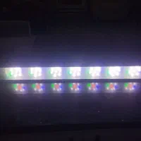 نور حرفه آیی پلنت