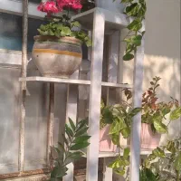 استند گلدان mdf