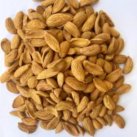 خرید و فروش بادام (شرکت رامون مهر ماهان)