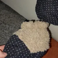 کاپشن بچه گانه|کفش و لباس بچه|تهران, صد دستگاه|دیوار