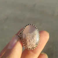 انگشتر نقره عقیق سوسنی شجر تک درخت فردوس|جواهرات|اصفهان, بوستان ناژوان|دیوار
