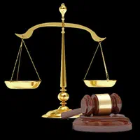 وکیل پایه یک دادگستری (خانم)