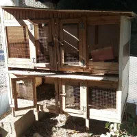 قفس چوبی|لوازم جانبی حیوانات|گنبد کاووس, |دیوار