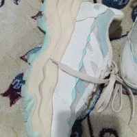 کتونی|کیف، کفش، کمربند|بومهن, |دیوار