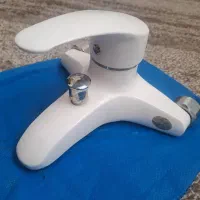 شیر سفید حمام و علم دوش