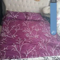 تخت|تخت و سرویس خواب|گرگان, |دیوار