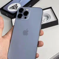 با اصالت و قدرتمند/شرایط ۱۲ ماهه