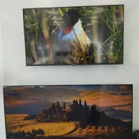 تلویزیون ۵۰و ۵۵ اسنوا ویترین با کارتن(محدود)