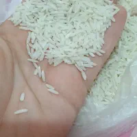 برنج هاشمی تازه