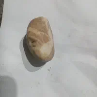 سنگ قیمتی بارزش اصل|کلکسیون اشیاء عتیقه|توکهور, |دیوار