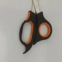 لوازم نگهداری سگ