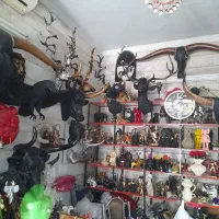 مجسمه عقاب دیوارکوب دیواری دکوری|مجسمه، تندیس، ماکت|تهران, پرستار|دیوار