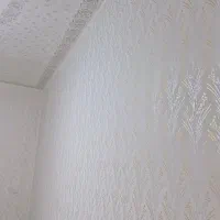 نقاشی ساختمان|خدمات پیشه و مهارت|مرند, |دیوار