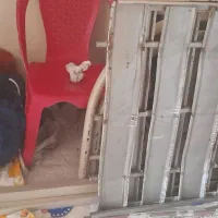 به علت مهاجرت و تغییر مکان