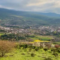 فرصتی مناسب برای سرمایه گذاری( زمین باغی بهشهر)