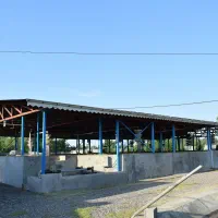 استخدام کارگر دائمی مزرعه پرورش ماهی خاویاری