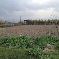 زمین-زارعی-برجاده