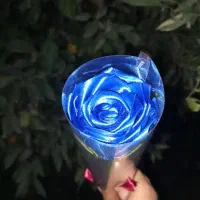 گل روبانی|گل مصنوعی|گنبد کاووس, |دیوار