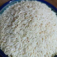 برنج هاشمی|خوردنی و آشامیدنی|محمدیه-قزوین, |دیوار