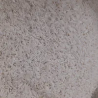 برنج هاشمی محلی