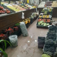 فروش مغازه میوه فروشی