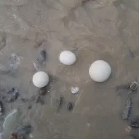 سنگ اسیاب  الماس