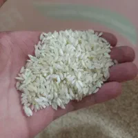 برنج محلی درکه