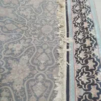 فرش شش متری|فرش|قائم‌شهر, |دیوار