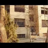 فروش کلنگی جردن