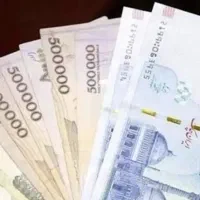 پرداخت سرمایه(و ا م )