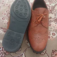 هر سه مورد با هم|کیف، کفش، کمربند|پرند, فاز ۵|دیوار