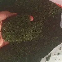 سبزی اماده|خوردنی و آشامیدنی|اصفهان, کشاورزی|دیوار