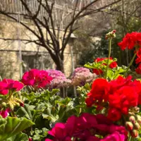 خانه ویلایی یوسف اباد