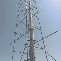 داربست محمدی