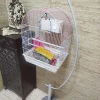 قفس پرنده