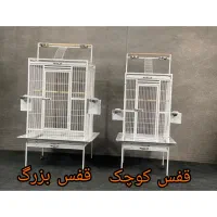 ارزان ترین قفس کاسکو ،مرغ عشق و طوطی از پژاوند|لوازم جانبی حیوانات|تهران, جوادیه تهرانپارس|دیوار