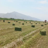 خرید فروش پرس یونجه و یونجه کوفته|عمدهفروشی|بانش, |دیوار