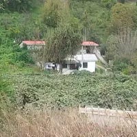 فروش خیاط محوطه