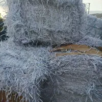 پوشال میوه