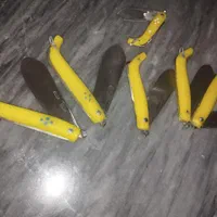 چاقوچوپانی پیوندی