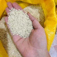 برنج لاشه‌ درجه یک معطر شمال