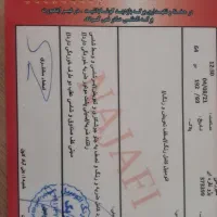 پژو 405|خودرو سواری و وانت|گرگان, |دیوار