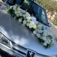 جایگاه عروس و لباس عروس|خدمات پذیرایی، مراسم|بیرجند, |دیوار