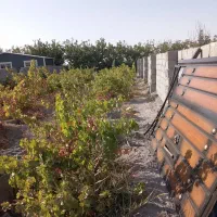 باغ-وباغچه-اجرای-ساخت-بنا-وکانکس-تک-برگ