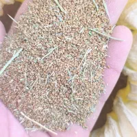 بزره یونجه آبی درجه یک همدان